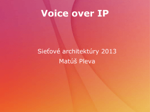 VoIP VPN VLAN SA 2013 pleva