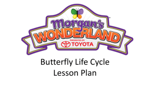 Butterfly Life Cycle Lesson Plan