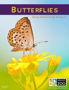 Butterfly Curriculum - Omaha's Henry Doorly Zoo