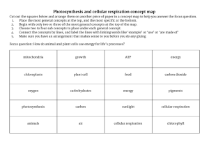 Photosynthesis and cellular respiration concept map
