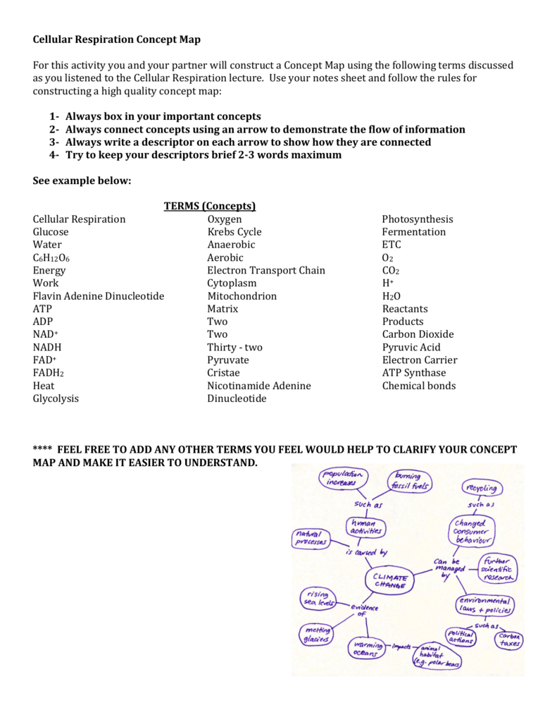 Cell Respiration Concept Map - North Medford High School Science Pertaining To Cell Concept Map Worksheet Answers