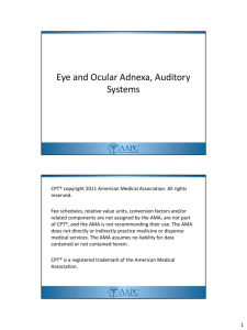 Eye and Ocular Adnexa, Auditory Systems