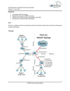 CCNA Exploration: Routing Protocols and Concepts Chapter 11