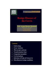 Benign Diseases of the Cervix