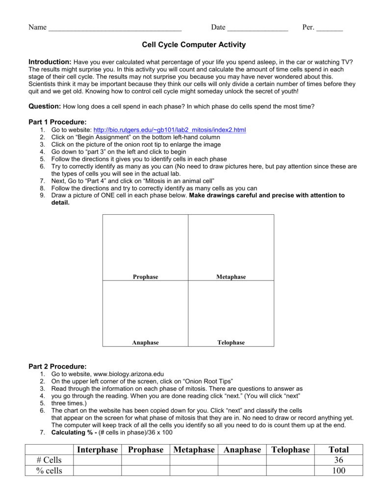 Lab: Cell Cycle Computer Activity