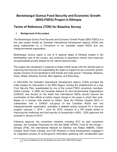 BSG-FSEG - Canadian Network of NGOs in Ethiopia (CANGO)