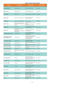 Quiz 2 Study Guide