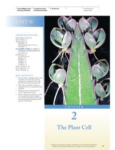 The Plant Cell - School of Life Sciences