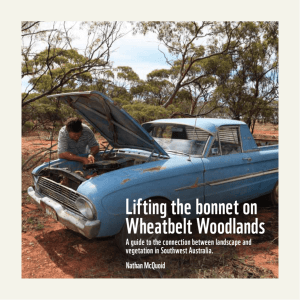 Lifting the bonnet on Wheatbelt Woodlands