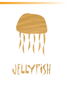 More than 200 species of jellyfish inhabit Earth's waters!