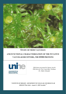 Study of moss vacuoles and functional characterization