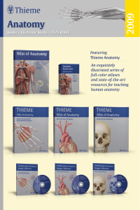 Anatomy - Thieme Medical Publishers