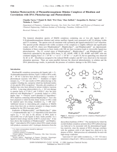 Solution Photoreactivity of Phenanthrenequinone Diimine