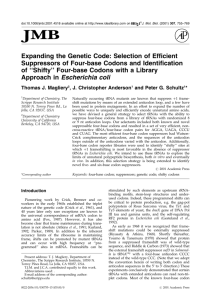 Expanding the Genetic Code: Selection of Efficient Suppressors of