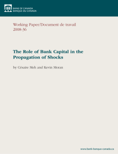 The Role of Bank Capital in the Propagation of