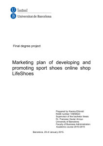 Marketing plan of developing and promoting sport shoes online