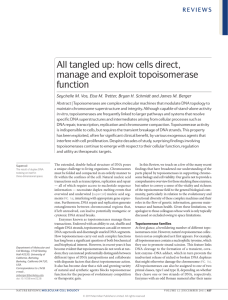 All tangled up: how cells direct, manage and exploit topoisomerase