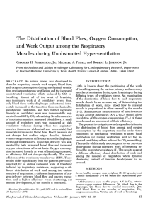The Distribution of Blood Flow, Oxygen Consumption, Muscles