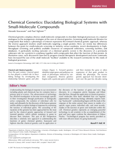 Chemical Genetics: Elucidating Biological Systems with Small