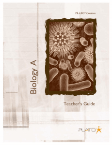 Teacher's Guide