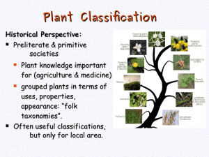 03 Bio_435_plant classification
