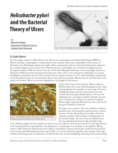 Helicobacter pylori and the Bacterial Theory of Ulcers
