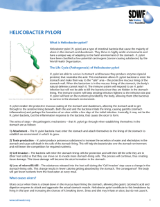 Helicobacter pylori - Safe Drinking Water Foundation