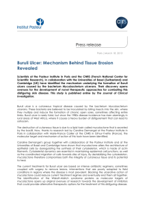 Buruli Ulcer: Mechanism Behind Tissue Erosion Revealed