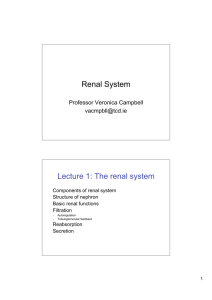 AHS renal lecture 1 V Campbell [Read