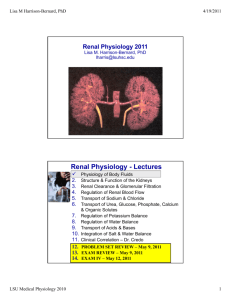 Renal Physiology - Lectures