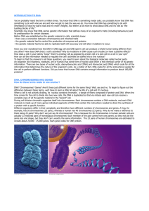 Nucleic Acids and Protein Synthesis