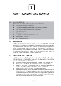 audit planning and control anning and control