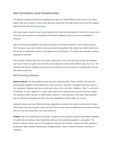 Soil Formation and Classification