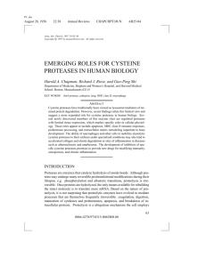 EMERGING ROLES FOR CYSTEINE PROTEASES IN HUMAN