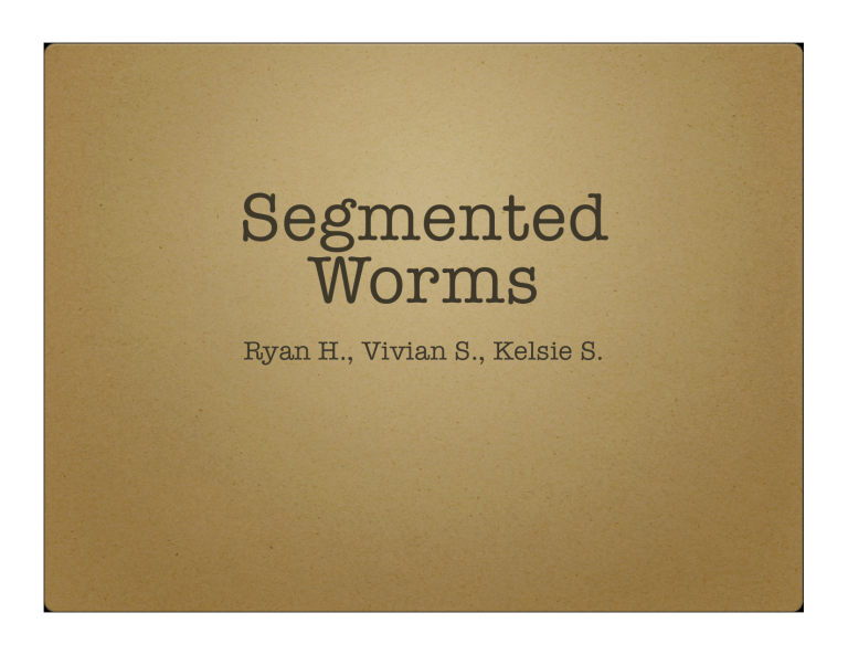 segmented-worms