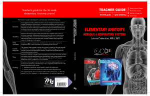 Elementary Anatomy: Nervous & Respiratory Systems (Teacher Guide)