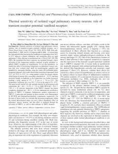 Thermal sensitivity of isolated vagal pulmonary sensory neurons