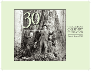 2013 Annual Report - The American Chestnut Foundation