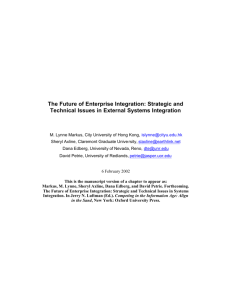 Strategic and Technical Issues in External Systems Integration