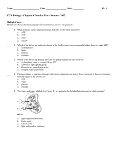 ExamView - CCR Biology - Chapter 4 Practice Test