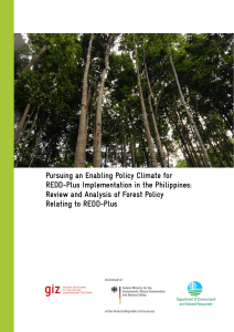 Pursuing an Enabling Policy Climate for REDD-Plus