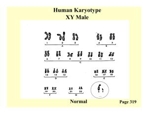 Human Karyotype XY Male