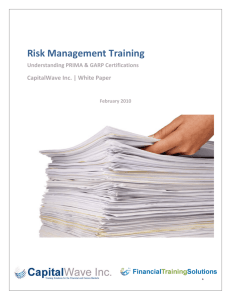 Risk Management White Paper Feb 2010