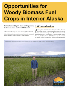 Opportunities for Woody Biomass Fuel Crops in Interior Alaska