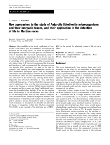 New approaches to the study of Antarctic lithobiontic