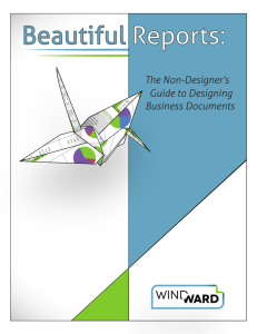 Beautiful Reports: The Non-Designer's Guide to Designing Business