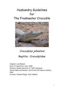 Fresh Water Crocodile - NSW Fauna & Marine Parks Association