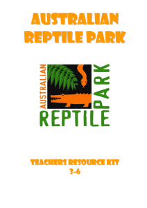 Worksheets 3 to 6 - Australian Reptile Park