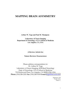 mapping brain asymmetry