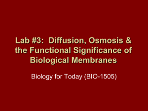 lab #3: diffusion, osmosis & the functional significance